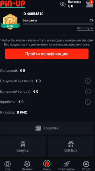 верификация