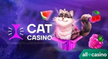 Cat Casino рабочее зеркало на сегодня