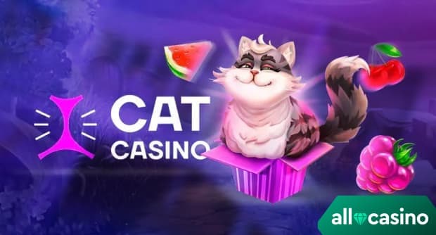 Cat Casino рабочее зеркало на сегодня