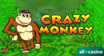 Crazy Monkey